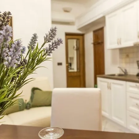 Hasi 4* بوريتش